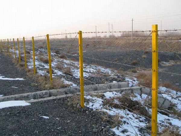 刺繩護欄網(wǎng) - 安平縣全昊金屬絲網(wǎng)制品有限公司圖片2